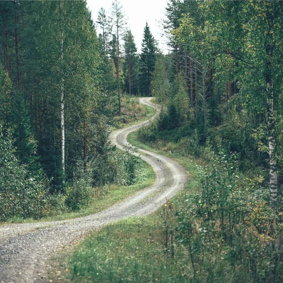 Mutkainen hiekkatie Saimaa by Cycle -gravelreitillä Pohjoisella Saimaalla – rauhallinen soratie pyöräilyyn kylien ja metsien halki.