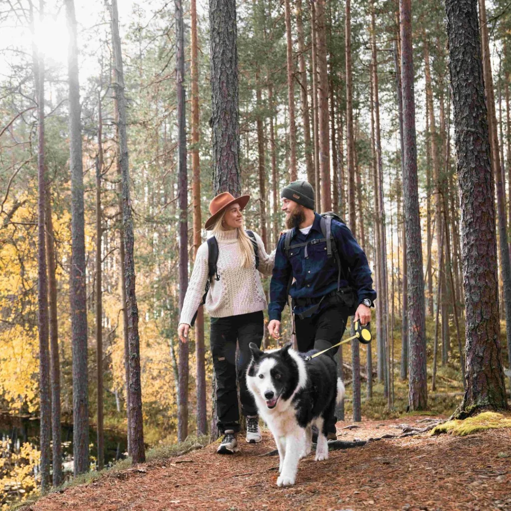 Pohjoisen Saimaan patikointireitit ruskamaisemassa.