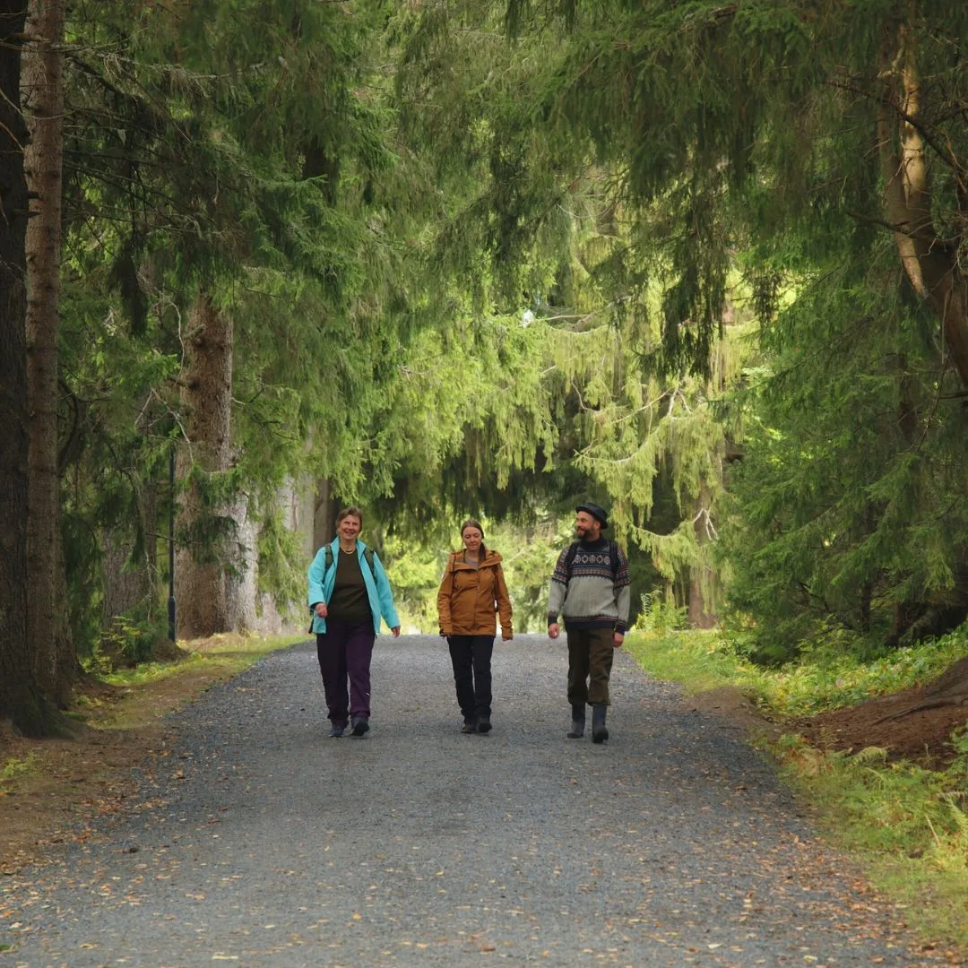 Nature guiding that draws from the healing power of the forest.