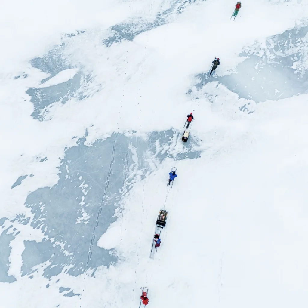 Karelia Cottages tarjoaa matkailijoille mahdollisuuden rakentaa pesiä norpalle Rääkkylässä.